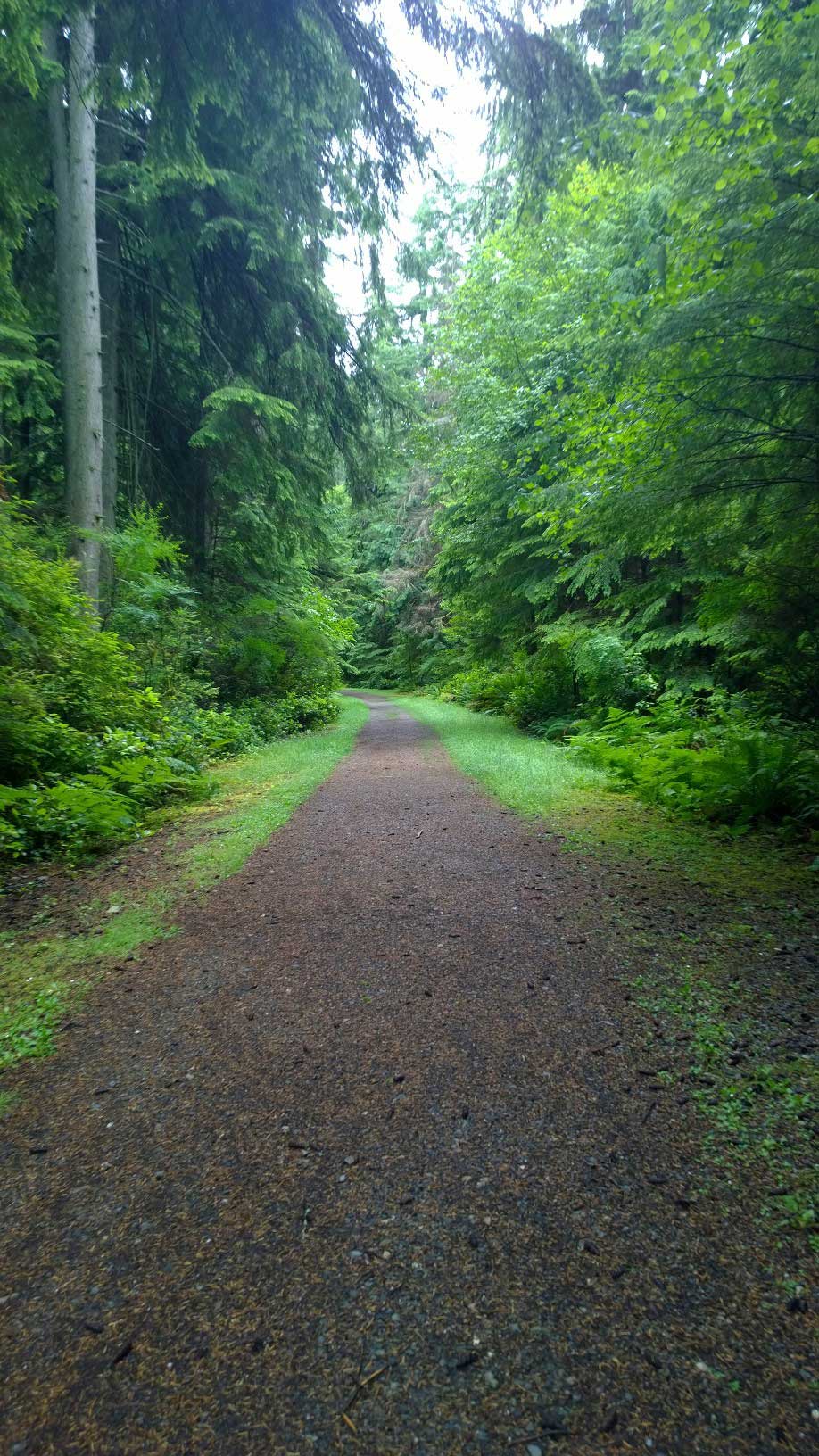 A Tacoma park trailPhoto by Morf Morford