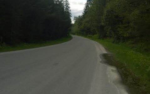 Rural road near KapowsinPhoto by Morf Morford