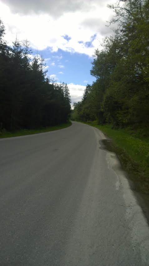 Rural road near KapowsinPhoto by Morf Morford