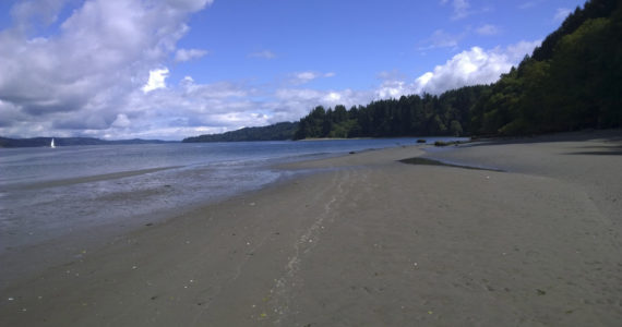 Washington has an abundance of parks packed with beaches, forests and mountains.  Photo: Morf Morford