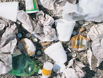 Local volunteers needed in global effort to clean up beaches