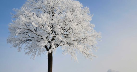 Winterfest at UPS: a celebration of winter in music and poetry— and more holiday concerts!