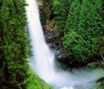 Wallace FallsImage courtesy WA State Parks