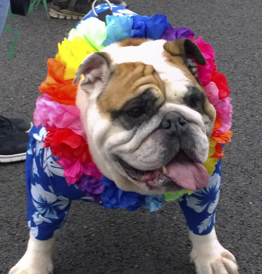 Photo by Morf Morford