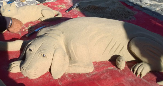 Photo by Morf Morford