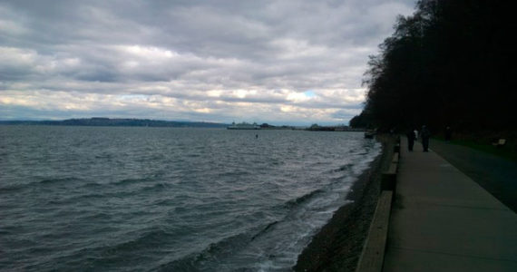 This is a familiar view from near Owen Beach. Notice that you can't tell if if it is spring or fall, summer or winter. You can't even tell if it is morning or afternoon.  In the original you can barely tell if the photo is color or black and white.              Photo: Morf Morford