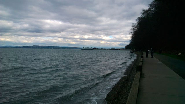 This is a familiar view from near Owen Beach. Notice that you can't tell if if it is spring or fall, summer or winter. You can't even tell if it is morning or afternoon.  In the original you can barely tell if the photo is color or black and white.              Photo: Morf Morford