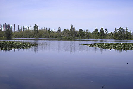 Preservation of wetlands and habitat is a lasting legacy. Photo: Morf Morford