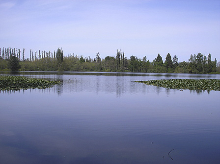 Preservation of wetlands and habitat is a lasting legacy. Photo: Morf Morford