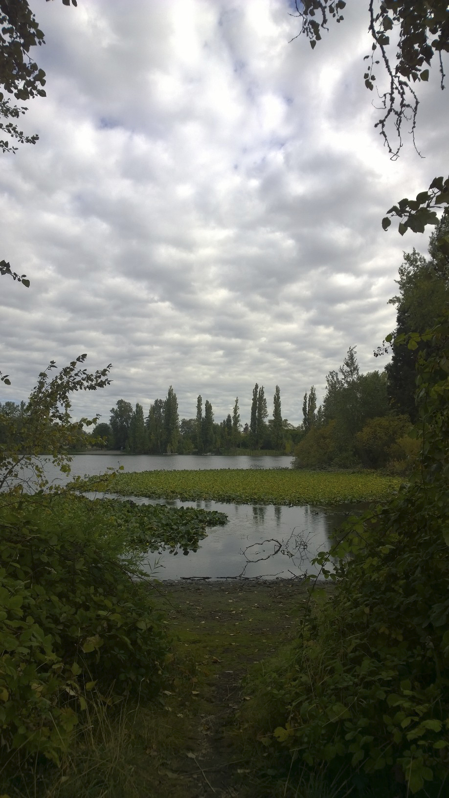 Healthy waterways are good for us all. Photo: Morf Morford