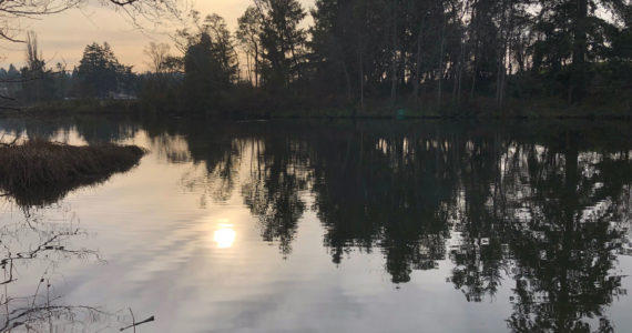 A cool and sunny January day between the storms in Tacoma. Photo: Morf Morford