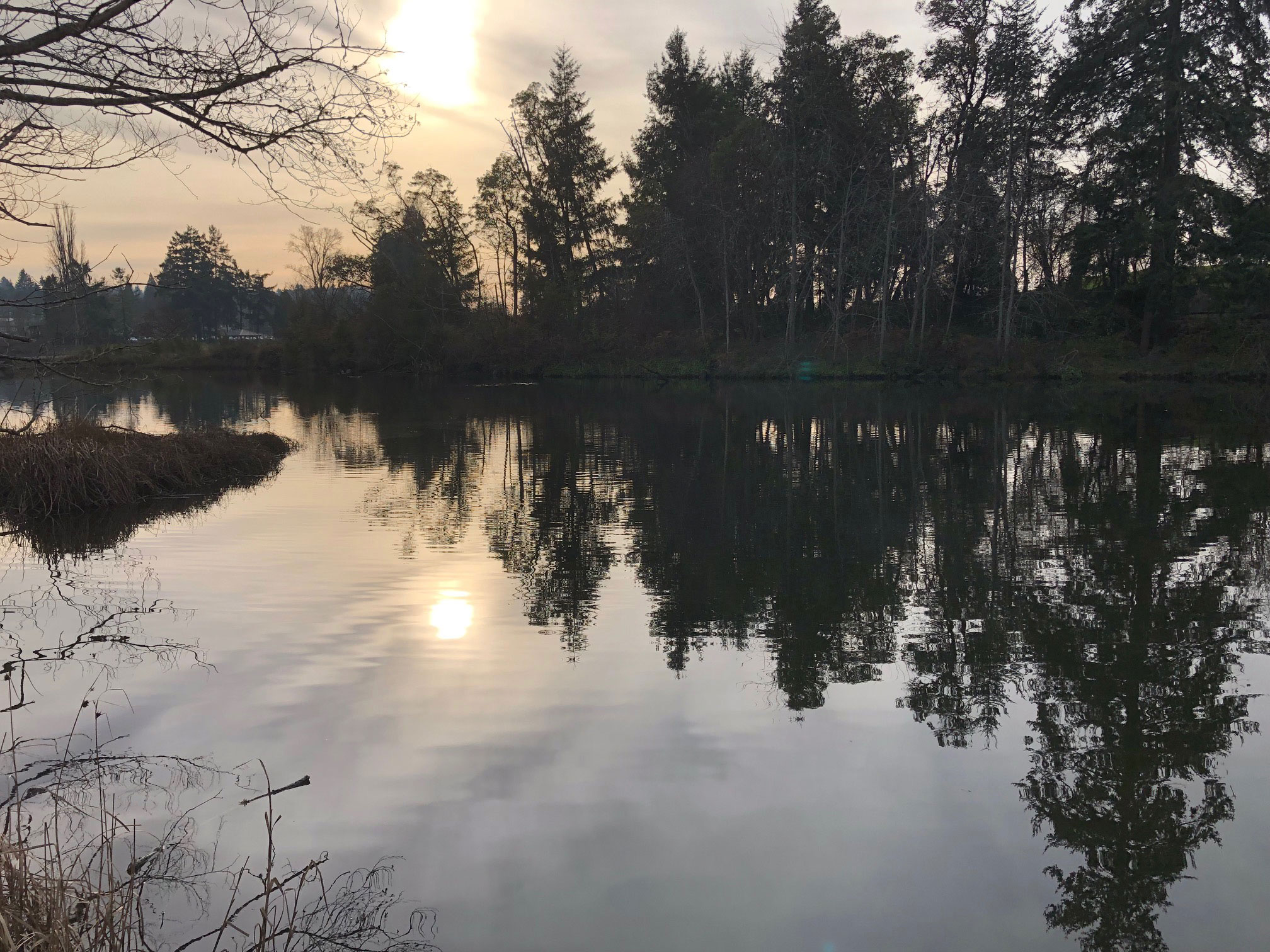 A cool and sunny January day between the storms in Tacoma. Photo: Morf Morford