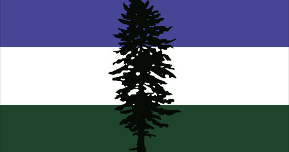 The Cascadia Doug flag is a symbol for our landscape and is a direct representation of the bioregion, and for our movement. Designed in 1994 by Portland native Alexander Baretich, the blue represents the moisture-rich sky above, and Pacific Ocean, along with the Salish Sea, lakes, and inland waters. The white represents snow and clouds, the green represents the evergreen forests and fields of the Pacific Northwest. The lone-standing Douglas Fir symbolizes endurance, defiance, and resilience.     deptofbioregion.org/use-of-flag
