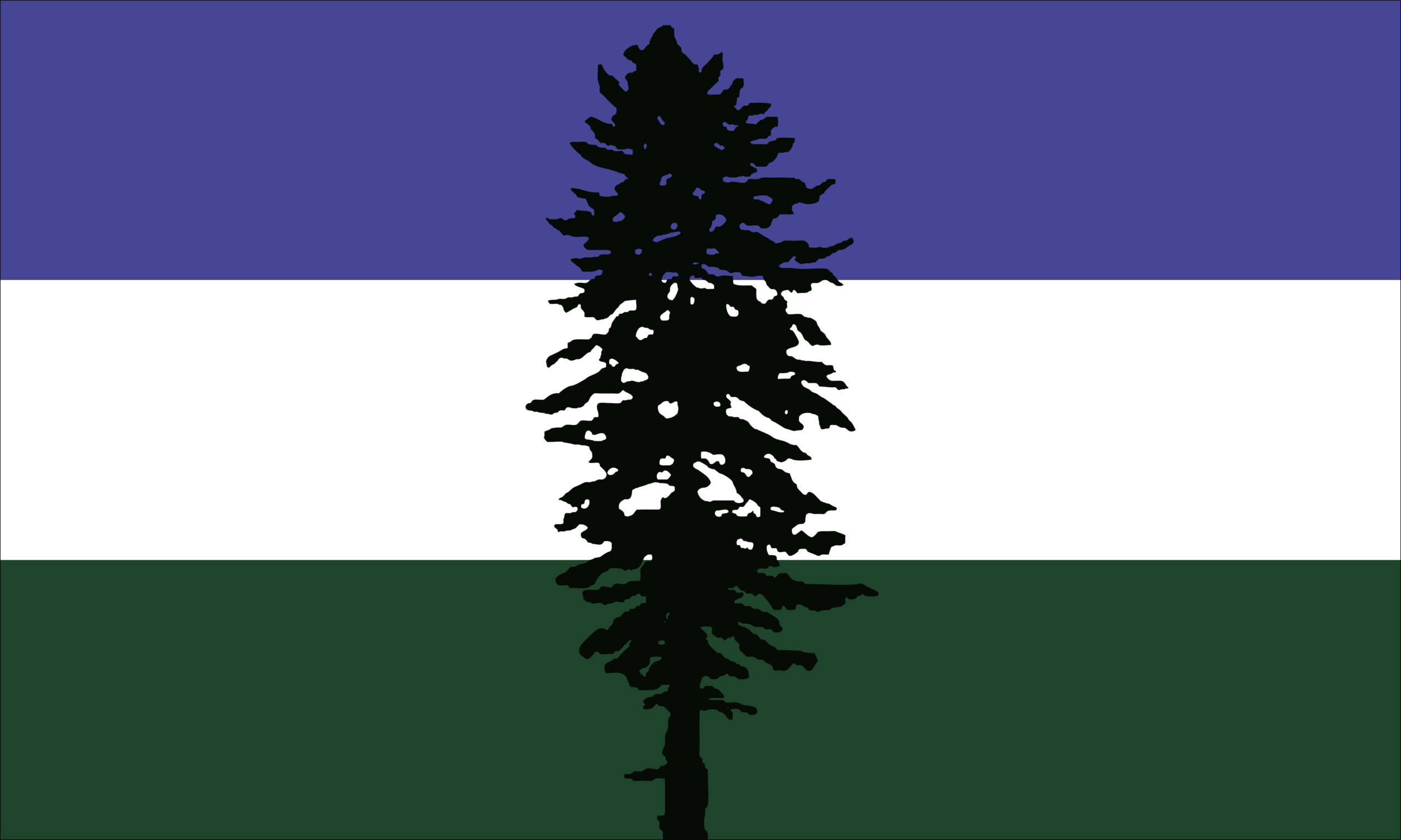 The Cascadia Doug flag is a symbol for our landscape and is a direct representation of the bioregion, and for our movement. Designed in 1994 by Portland native Alexander Baretich, the blue represents the moisture-rich sky above, and Pacific Ocean, along with the Salish Sea, lakes, and inland waters. The white represents snow and clouds, the green represents the evergreen forests and fields of the Pacific Northwest. The lone-standing Douglas Fir symbolizes endurance, defiance, and resilience.     deptofbioregion.org/use-of-flag