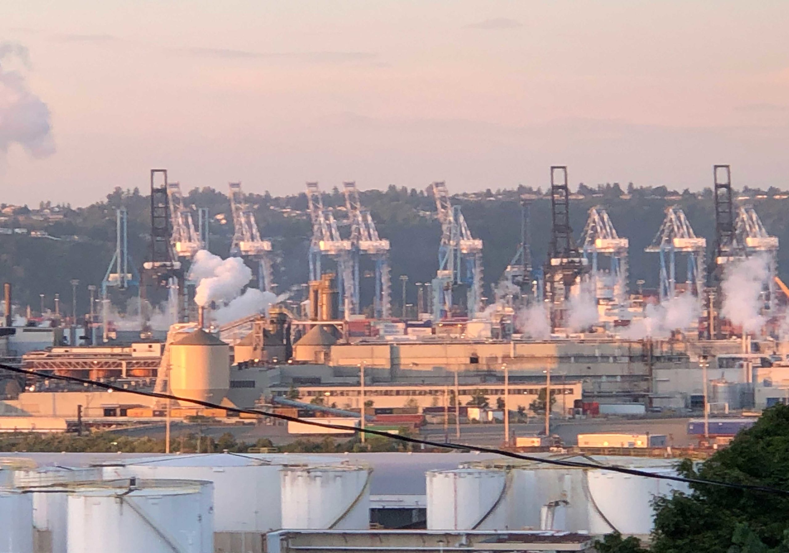 This is the Port of Tacoma at the end of May, 2019. Five or ten years from now, will it be greener, more productive, a source of community pride or a toxic shame.  Photo: Morf Morford