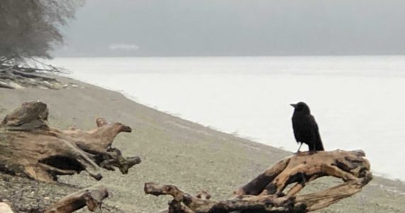 Humans and their celebrations come and go, but the beaches remain. Photo: Morf Morford