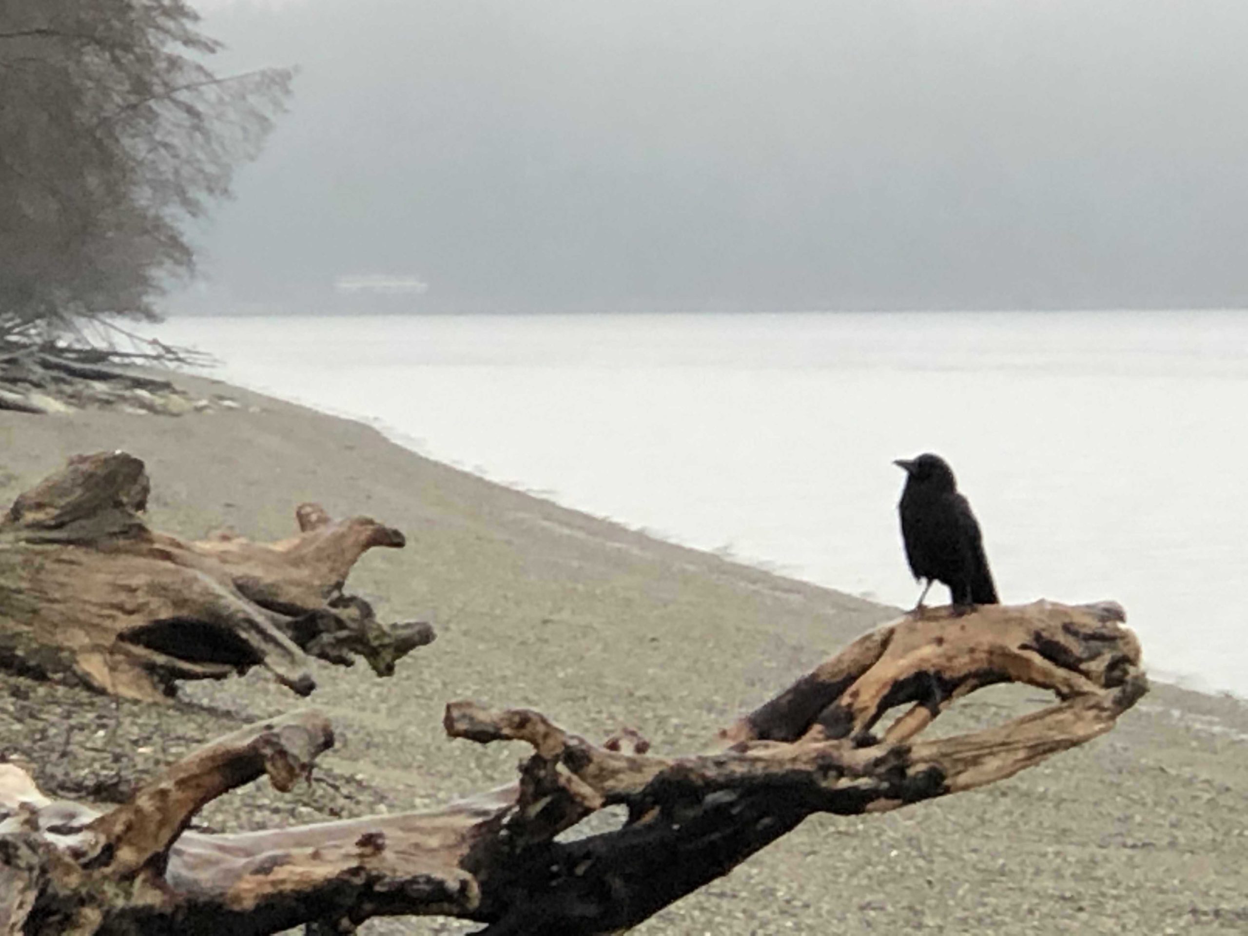 Humans and their celebrations come and go, but the beaches remain. Photo: Morf Morford