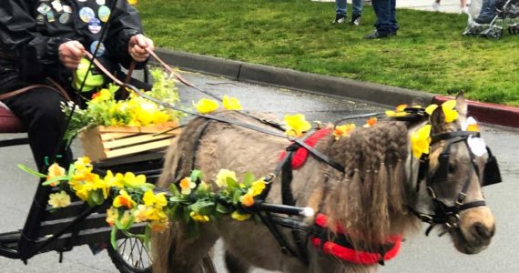 You never know what you will see at any of Tacoma's street fairs. Photo: Morf Morford