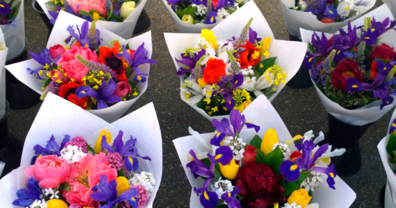 The equation is very simple; if you want flowers or food, take care of the bees.        Photo: Morf Morford