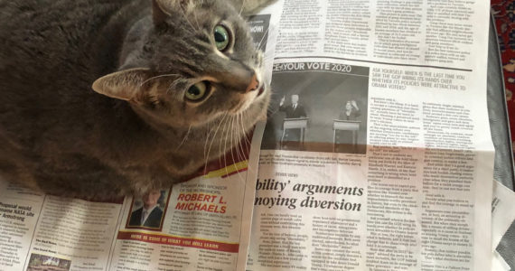 Like many humans, sometimes a cat just wants to curl up with a newspaper on a cold morning. Photo: Morf Morford