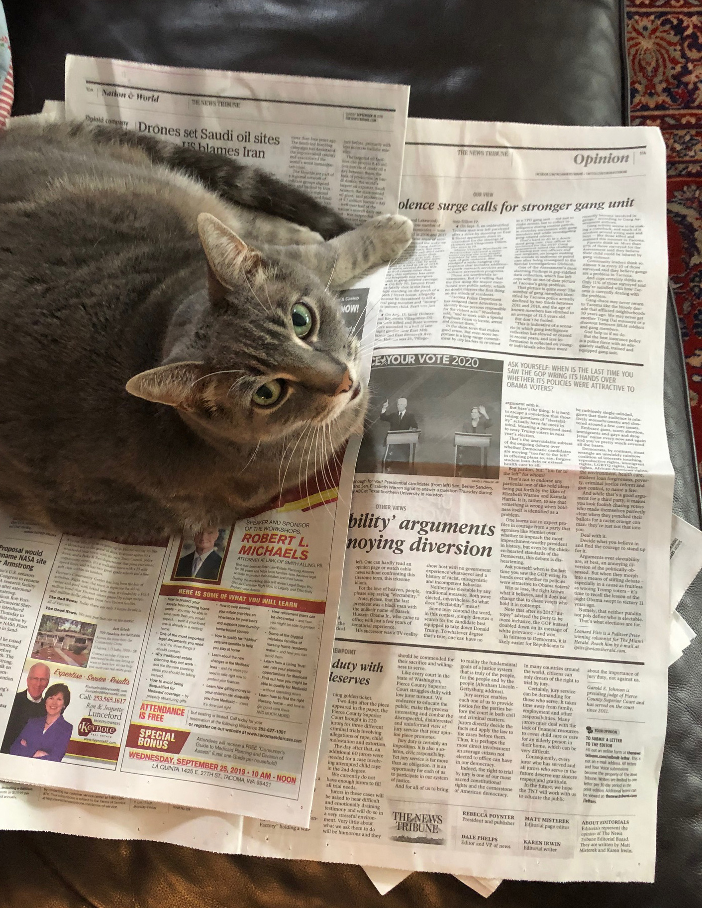 Like many humans, sometimes a cat just wants to curl up with a newspaper on a cold morning. Photo: Morf Morford