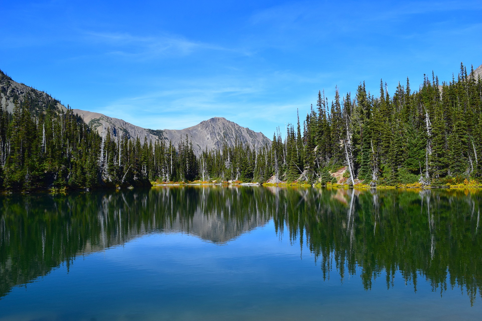 State parks seek volunteers for 2020