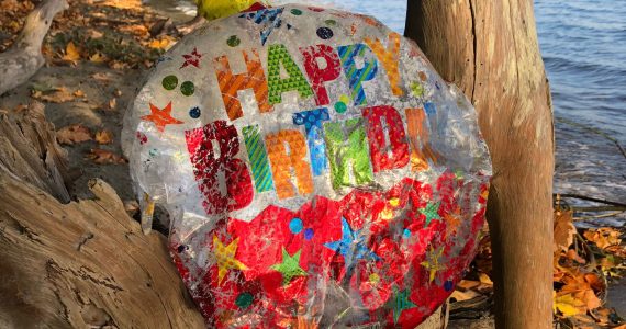 I found this Happy Birthday balloon in the water at Owen Beach. I know it seems obvious, but apparently it still needs to be said - please don't throw your garbage into the sky. It will come down eventually. Photo: Morf Morford