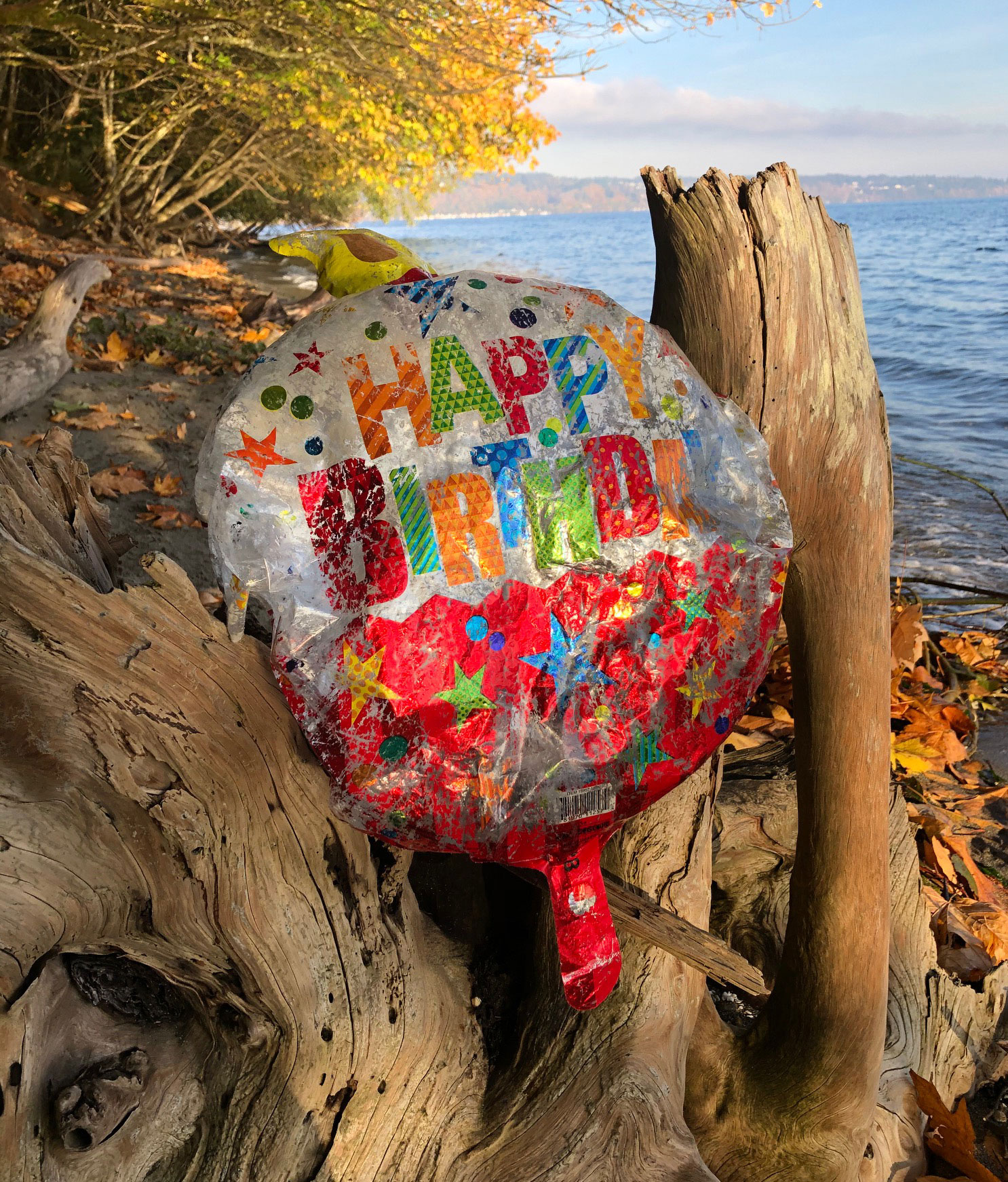 I found this Happy Birthday balloon in the water at Owen Beach. I know it seems obvious, but apparently it still needs to be said - please don't throw your garbage into the sky. It will come down eventually. Photo: Morf Morford