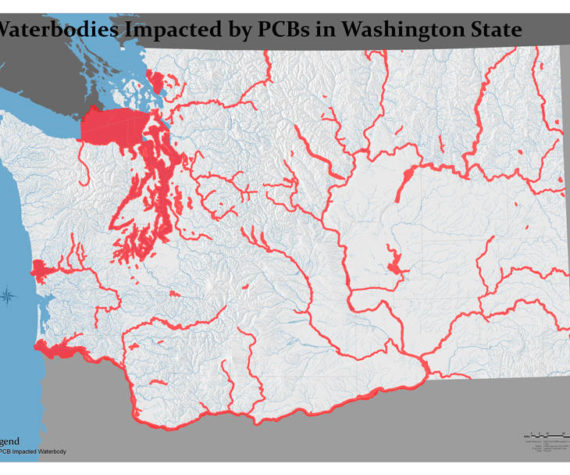 <p>Waterbodies impacted by PCBs in Washington State; Image courtesy Office of the Attorney General</p>