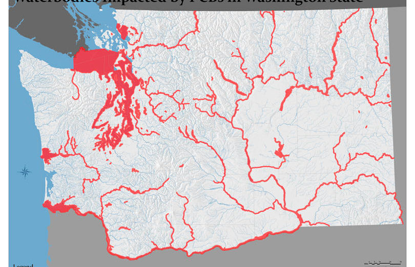 <p>Waterbodies impacted by PCBs in Washington State; Image courtesy Office of the Attorney General</p>