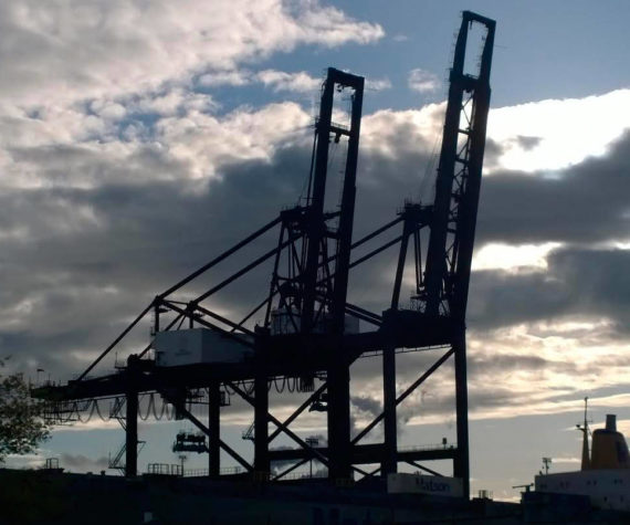 <p>Cranes at dusk, Photo by Morf Morford</p>