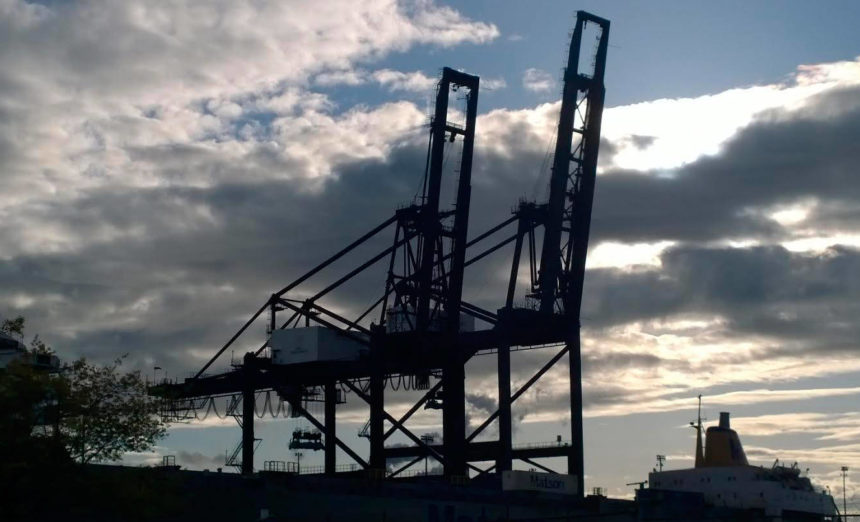 <p>Cranes at dusk, Photo by Morf Morford</p>