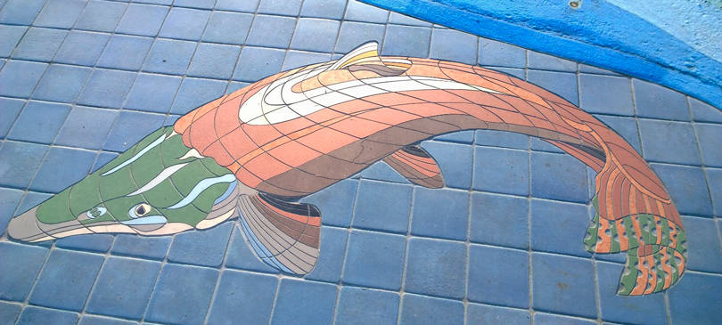 Salmon tile, Photo by Morf Morford