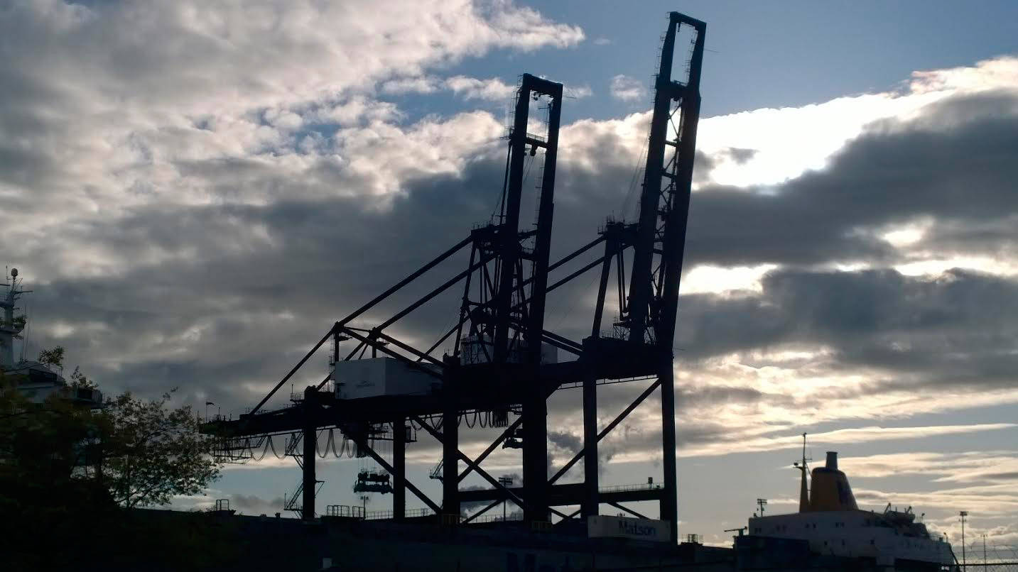 Cranes at dusk, Photo by Morf Morford