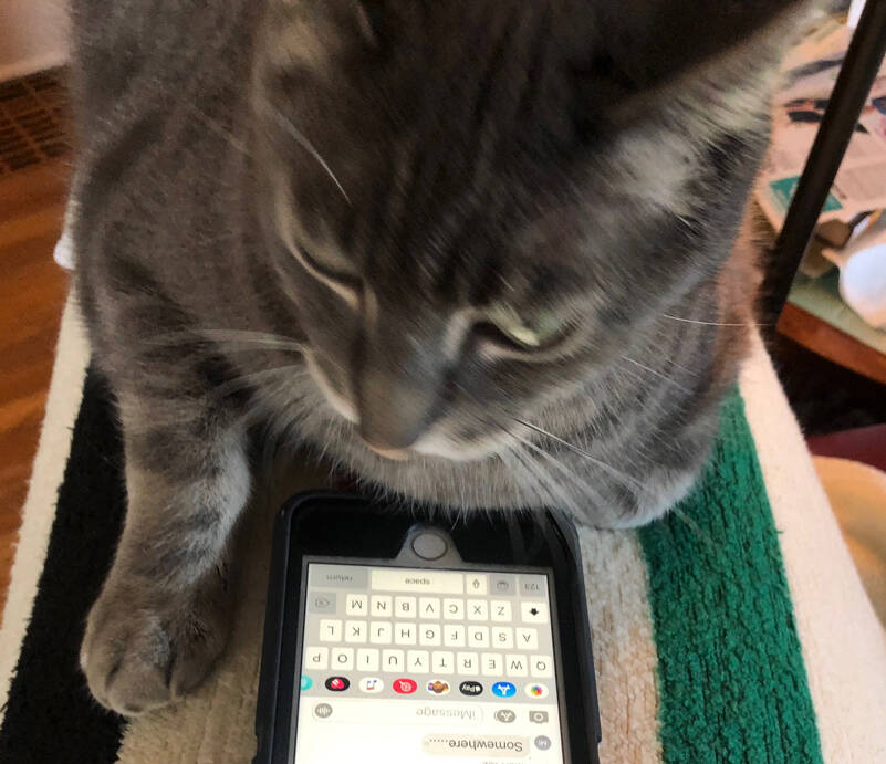 For many of us, our online life is more real to us than our actual living/breathing experience. (Photo by Morf Morford)