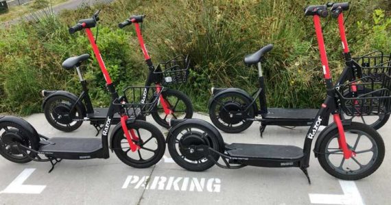 This quad of well-behaved scooters are upright and within their resting habitat - a designated parking space. Unfortunately, this is not where they are usually seen. (Photo by Morf Morford)