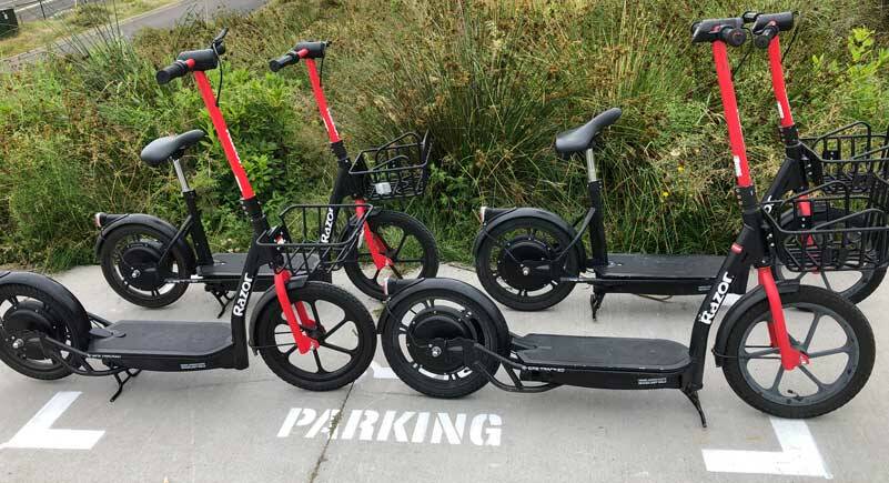 This quad of well-behaved scooters are upright and within their resting habitat - a designated parking space. Unfortunately, this is not where they are usually seen. (Photo by Morf Morford)