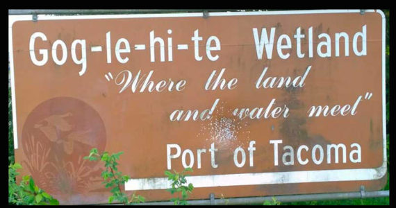 This is the sign from one of the lesser-known parks of Tacoma. Under normal circumstances, where “land and water meet” would be marine tidelands. In January of 2022, land and water “met” in landslides, floods and intersections in all kinds of unexpected places, ratios and temperatures. (Photo by Morf Morford)