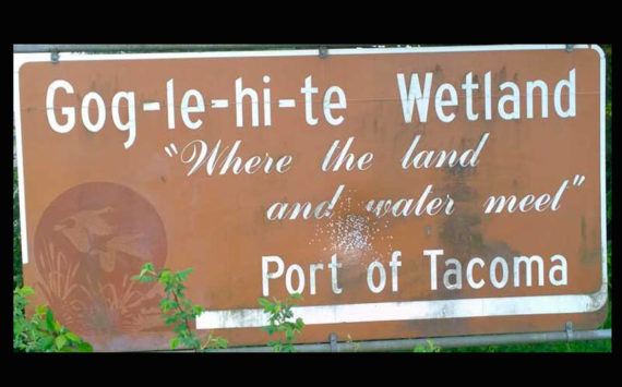 This is the sign from one of the lesser-known parks of Tacoma. Under normal circumstances, where “land and water meet” would be marine tidelands. In January of 2022, land and water “met” in landslides, floods and intersections in all kinds of unexpected places, ratios and temperatures. (Photo by Morf Morford)