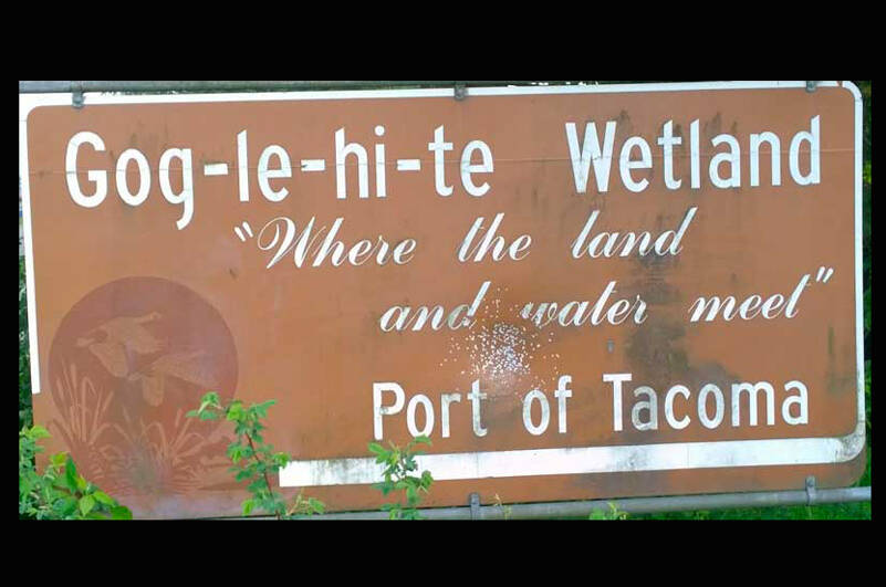 This is the sign from one of the lesser-known parks of Tacoma. Under normal circumstances, where “land and water meet” would be marine tidelands. In January of 2022, land and water “met” in landslides, floods and intersections in all kinds of unexpected places, ratios and temperatures. (Photo by Morf Morford)