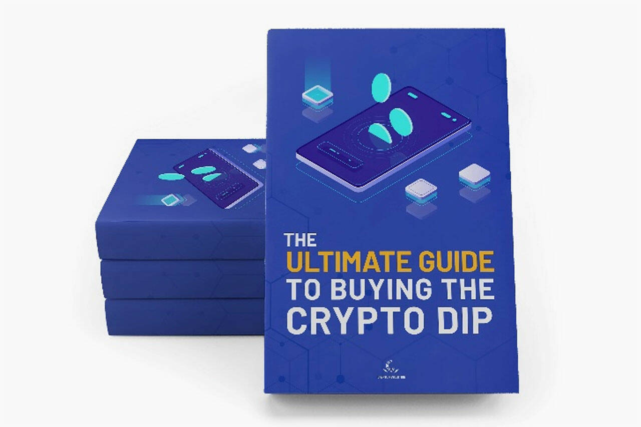Crypto Revolution Buy Crypto Dip Review [Boardwalk Flock Bryce Paul Crypto 101]