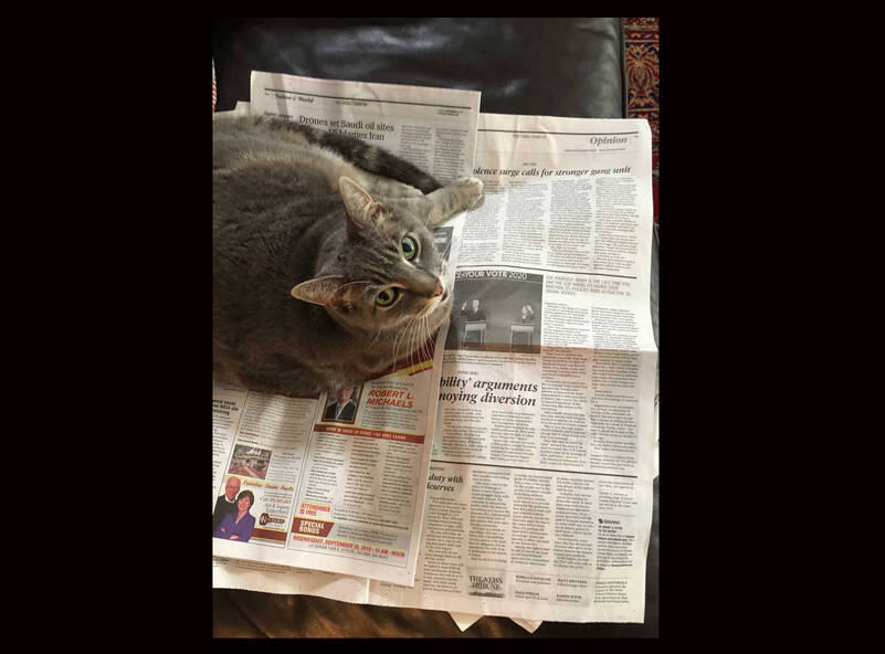 Cats prefer print media. Dogs like news they can use. (Photo by Morf Morford)