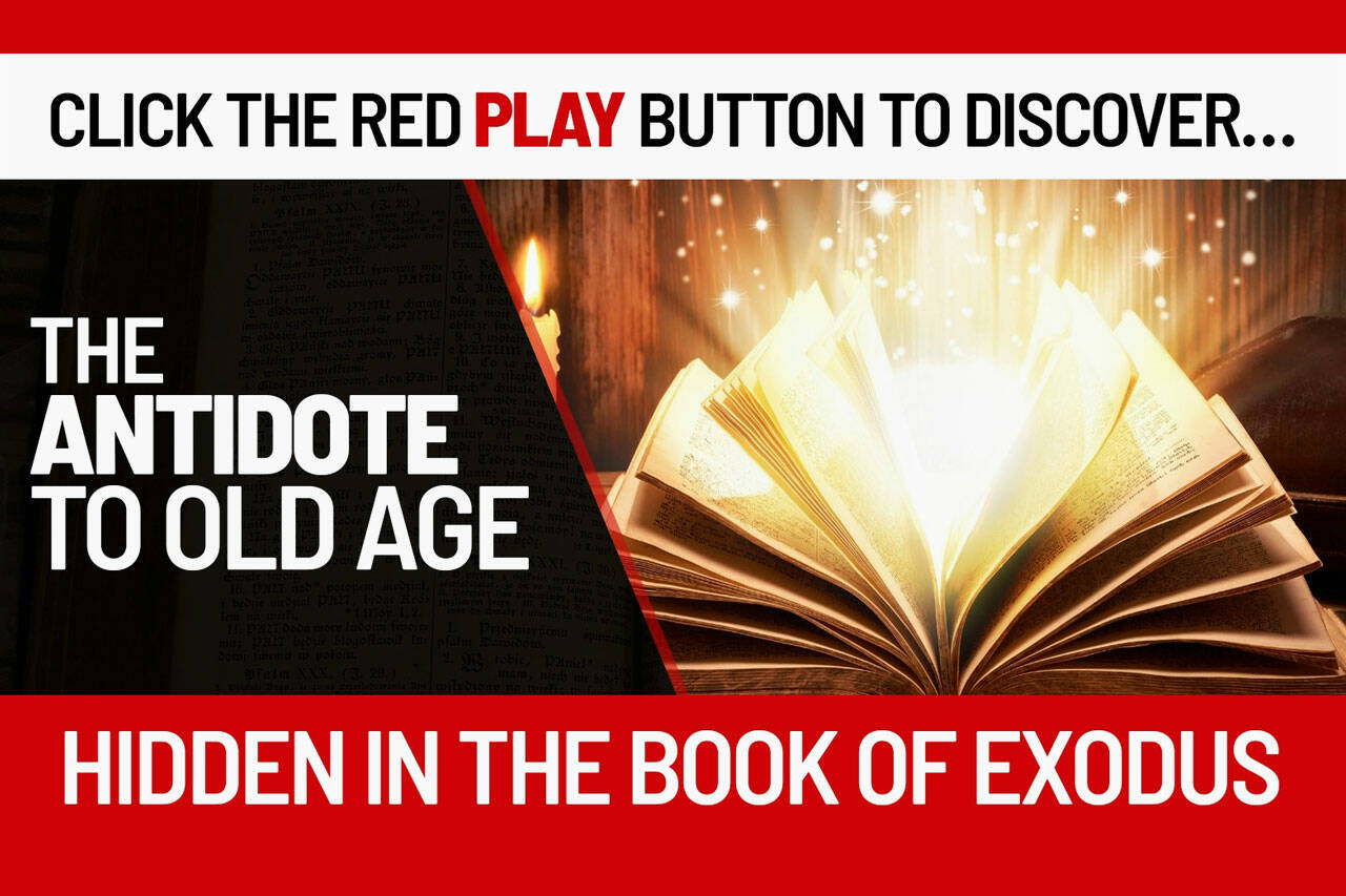 exodus effect pdf download