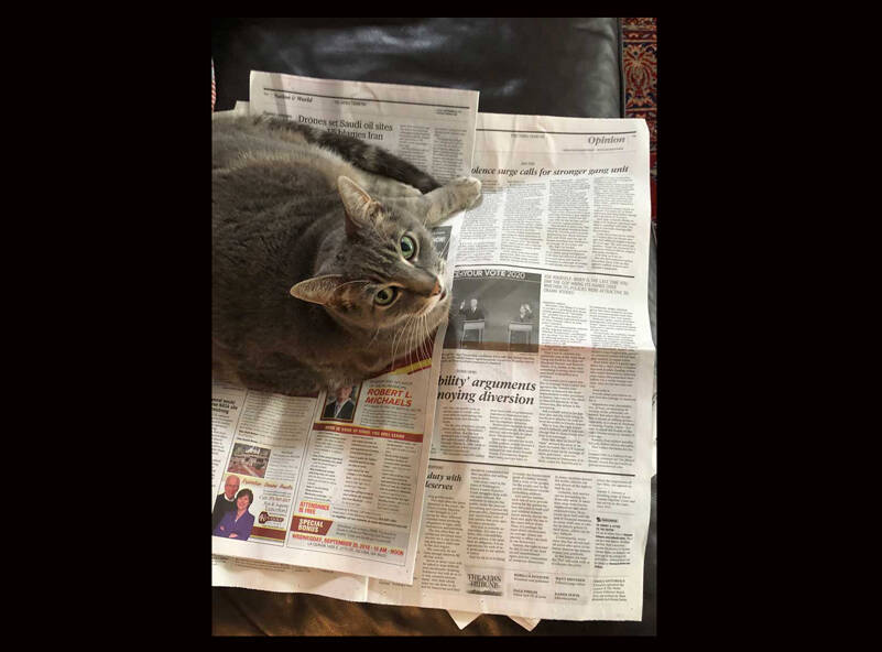 If you ever wondered what cats do during the day, I caught this one reading about all the reasons to be thankful to be a cat. (Photo by Morf Morford)