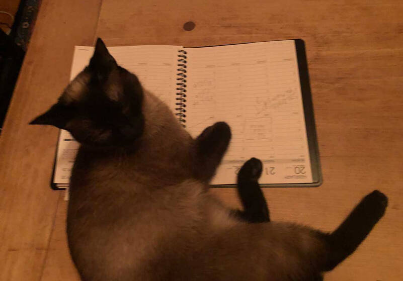 If you’ve ever wondered how cats get so much done and stay on task, the smartest ones use old-fashioned planning books. (Photo by Morf Morford)