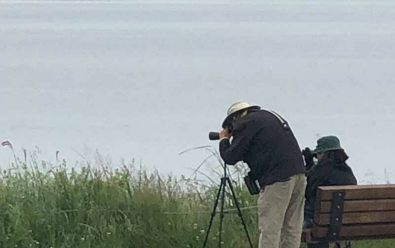 Are these people working or on vacation? In a simpler time, it was usually obvious if people were dressed for work or play. (Photo by Morf Morford)