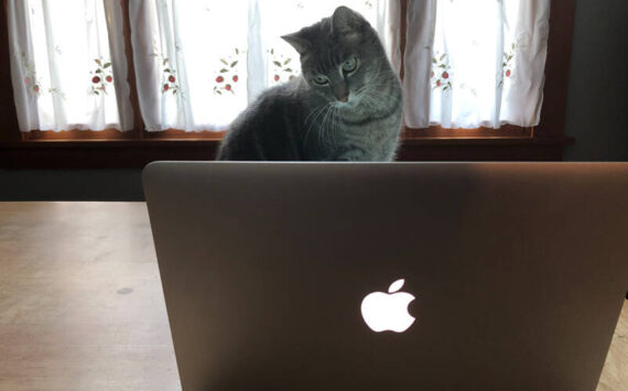 Everyone, around the world, uses and is familiar with Google. Some of us even have long distant memories of life before the Web. (Photo by Morf Morford)