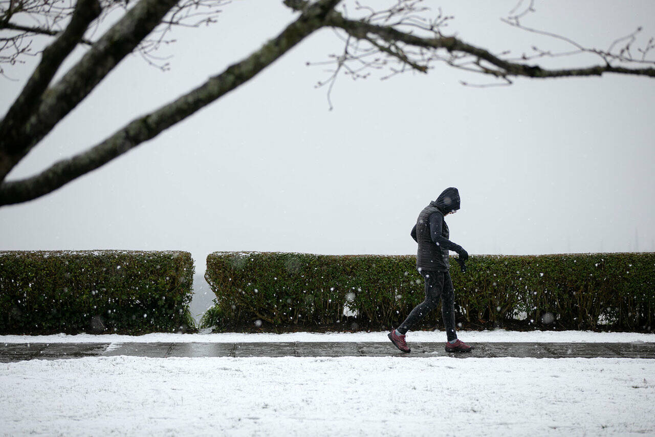 As most of the rest of the country shivered and was paralyzed in ice and snow, we in Western Washington had our usual week or so of ice (and a little snow). For most of us locals, a few days of temperatures in the teens is enough for the year.	(Ryan Berry / The Everett Daily Herald)