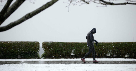 A pedestrian walks through Grand Avenue Park as a light snow comes down Tuesday, Feb. 28, 2023, in Everett, Washington. (Ryan Berry / The Herald)