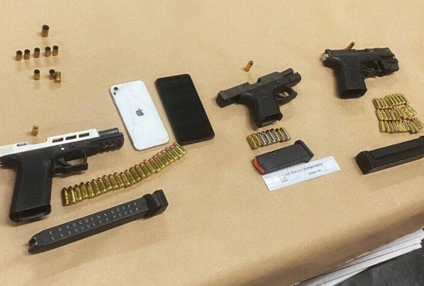 Permit requirement for gun purchases clears state Senate